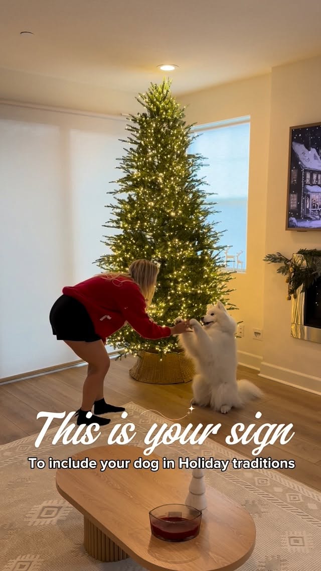 Instagram post by @nubethesamoyed for Wellness Pet Food. Caption reads: This is your sign to make holiday traditions with....