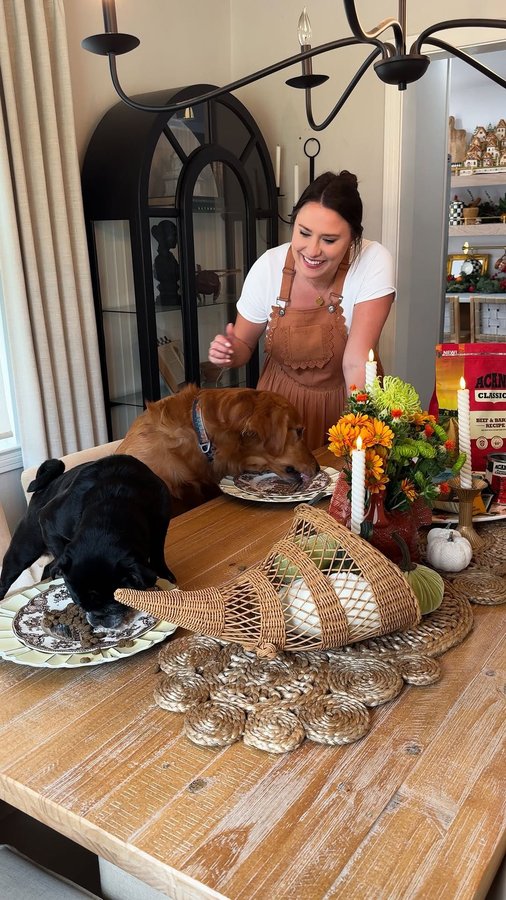 Instagram post by @kenziemariehome for ACANA Petfoods. Caption reads: can we all agree our pets DESERVE their own....