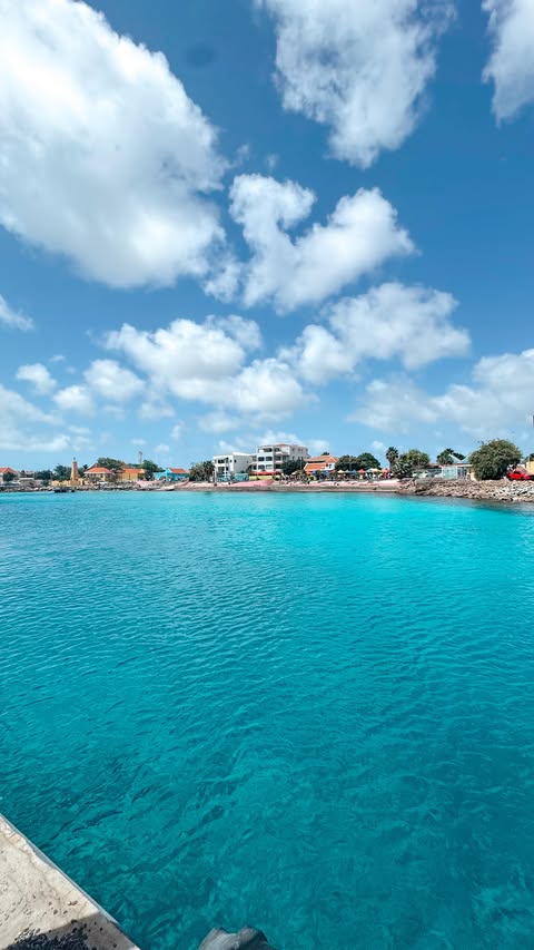 Instagram post by @ms.johnson.teaches for Norwegian Cruise Line. Caption reads: EEEK!! Cruise vlogs are back!!! & this time I am....