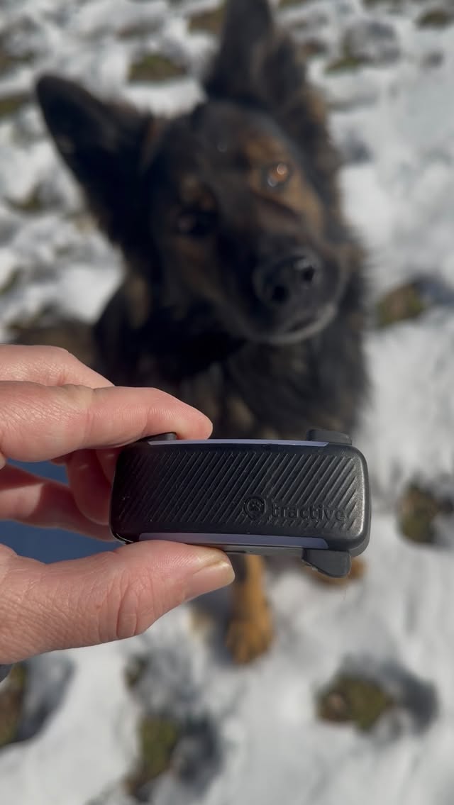 Instagram post by @von.jakoba for Tractive. Caption reads: [...] been using GPS trackers for years, and....