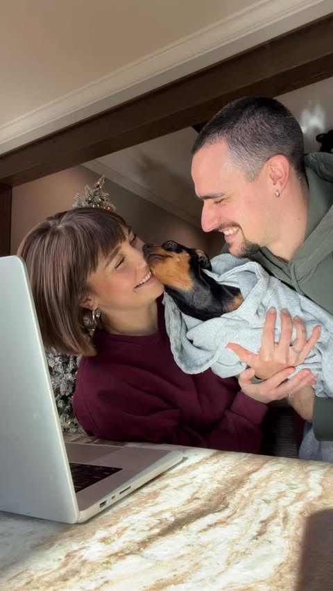 Instagram post by @cost_n_mayor for Chewy. Caption reads: Pencil’s been a GOOD GIRL this....