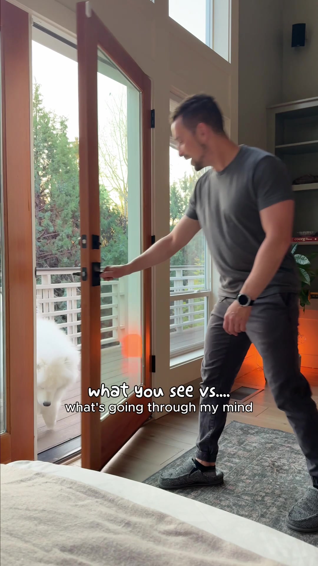 TikTok post by @life.with.a.landcloud for Lesure Pet. Caption reads: [...] problems appear and this is where the....