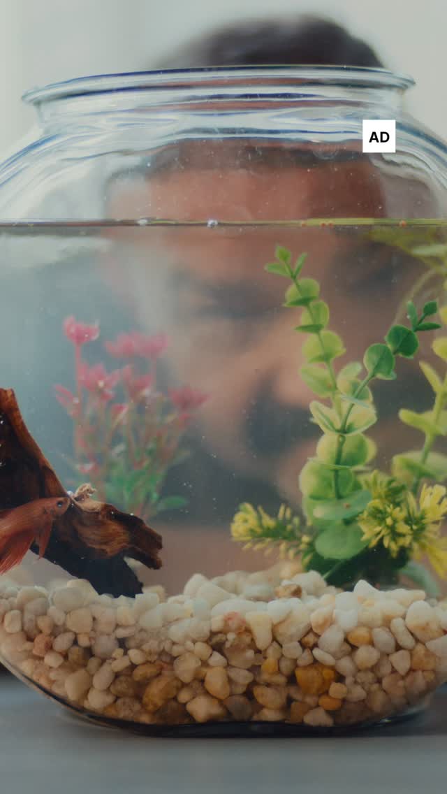 Instagram post by @stagedtosellhome for Real Simple. Caption reads: #Ad Get Ready For The Tea…

it’s no secret that....