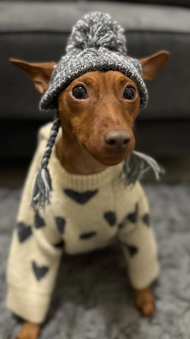 Instagram post by @zeus.theminpin for Furb. Caption reads: [...] fun pre-holiday plans? OOTD: Sweater by....