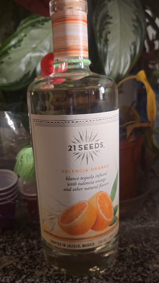 Instagram post by @theeelainee for 21Seeds Infused Tequila. Caption reads: [...] TO DRINK YALL WITH @21seeds infused tequila!....