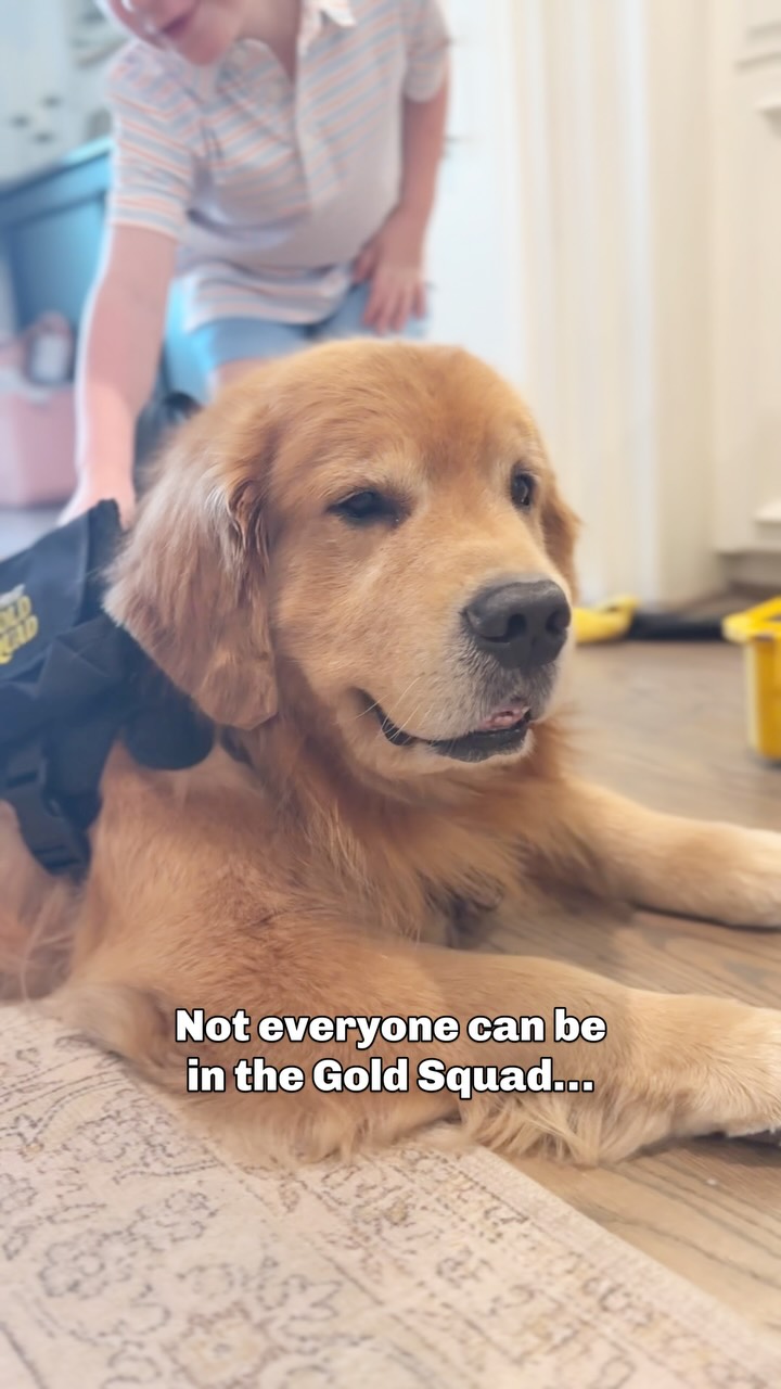 Instagram post by @cooper.thegoldenboy for Hertz. Caption reads: After his big day at @dfwairport with the....