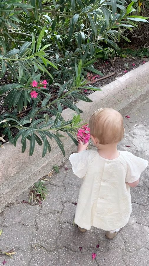 Instagram post by @gwenaellelb for Les Petits Culottés. Caption reads: Tenue pour le mariage 🤍

Tellement belle ✨

Robe....