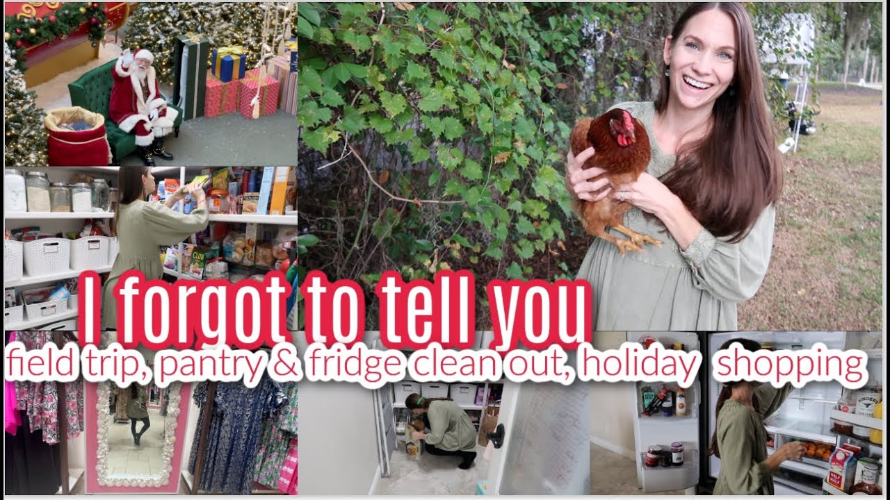 YouTube post by @thewadsquad for Thrive Market. Caption reads: Oh I Forgot To Tell You! Pantry & Fridge Clean....