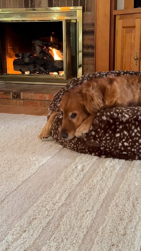 Instagram post by @goodlifebygrace_ for Revival. Caption reads: Slowly turning our first home into our safe haven....