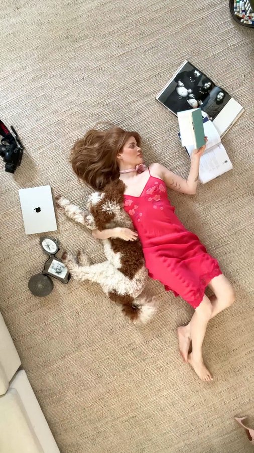 Instagram post by @chloebeephoto for Rugs USA. Caption reads: [...] enough for three kids and two dogs. #rugsusa....