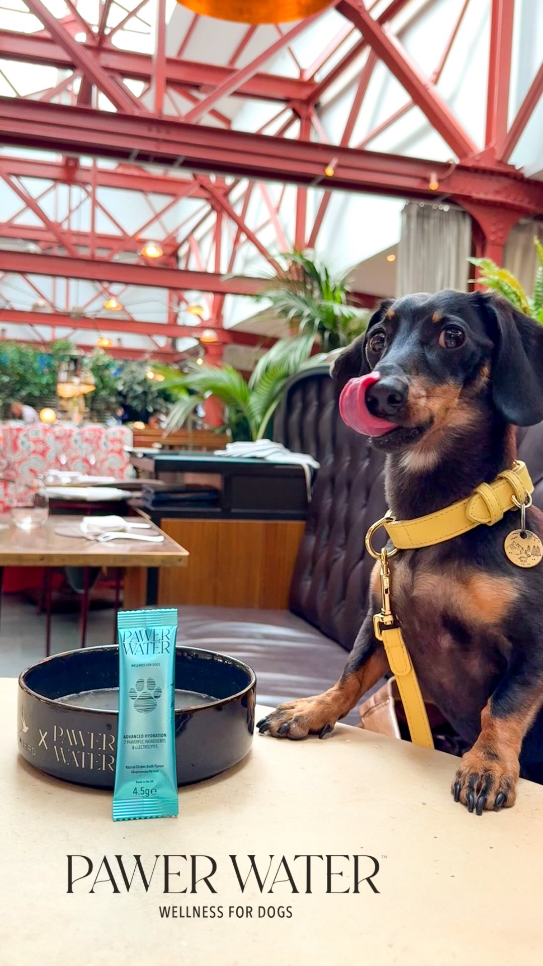 Instagram post by @maverickandhendrix for Pawer Water. Caption reads: [...] have snazzy cocktails around here....