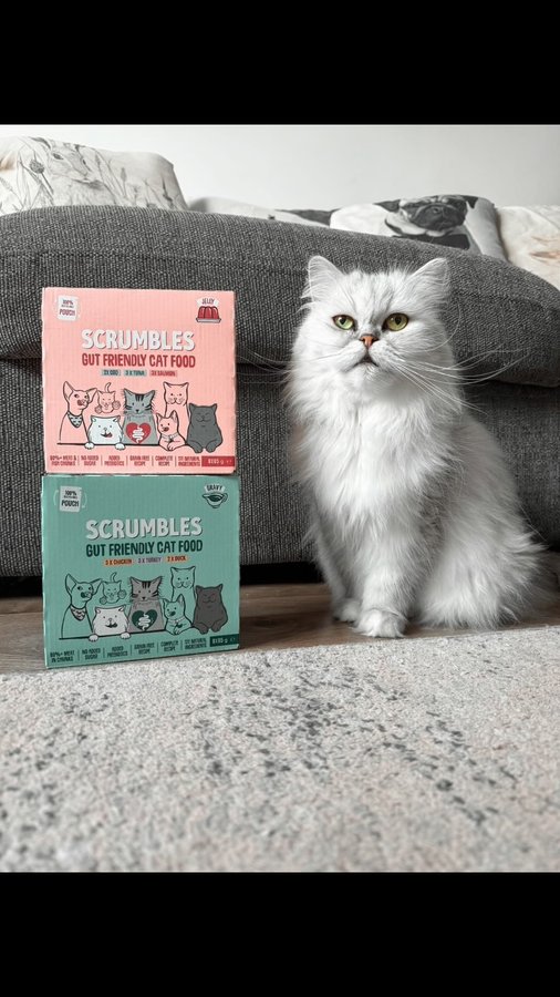 Instagram post by @oscar_andmaggie for Scrumbles. Caption reads: [Oscar & Maggie] (ad/gifted) @scrumbles have....