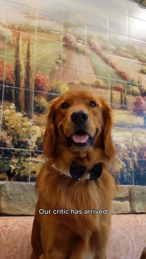 Instagram post by @otisgoldenboy for Jinx. Caption reads: [...] era. No crumbs left behind with @thinkjinx.....