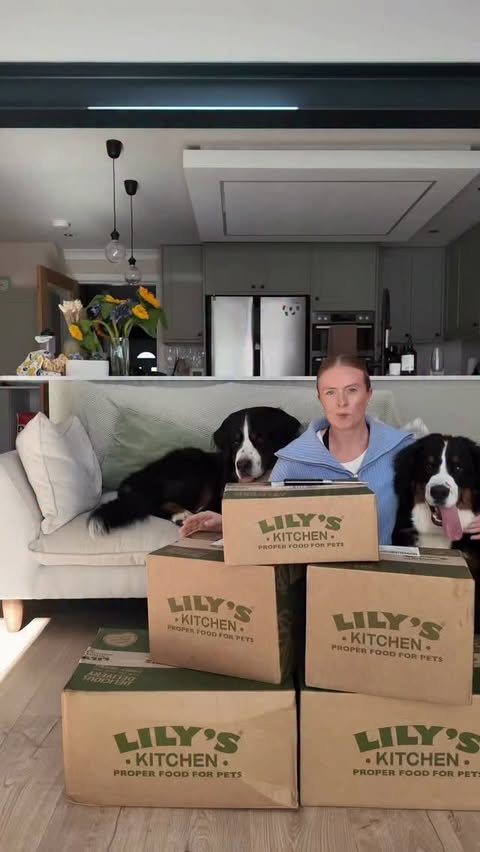 Instagram post by @odin_and_moose for Lily's Kitchen. Caption reads: [...] sooo lucky 🥹🥹 Thank you so much....