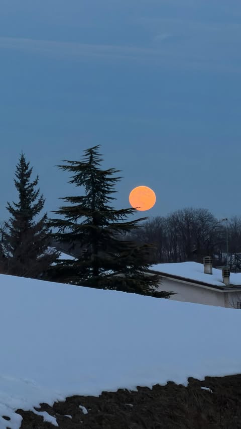 Instagram post by @carlottafiasella for Clinique Italia. Caption reads: [...] che emozione!!!🫧🧼
@cliniqueitalia....