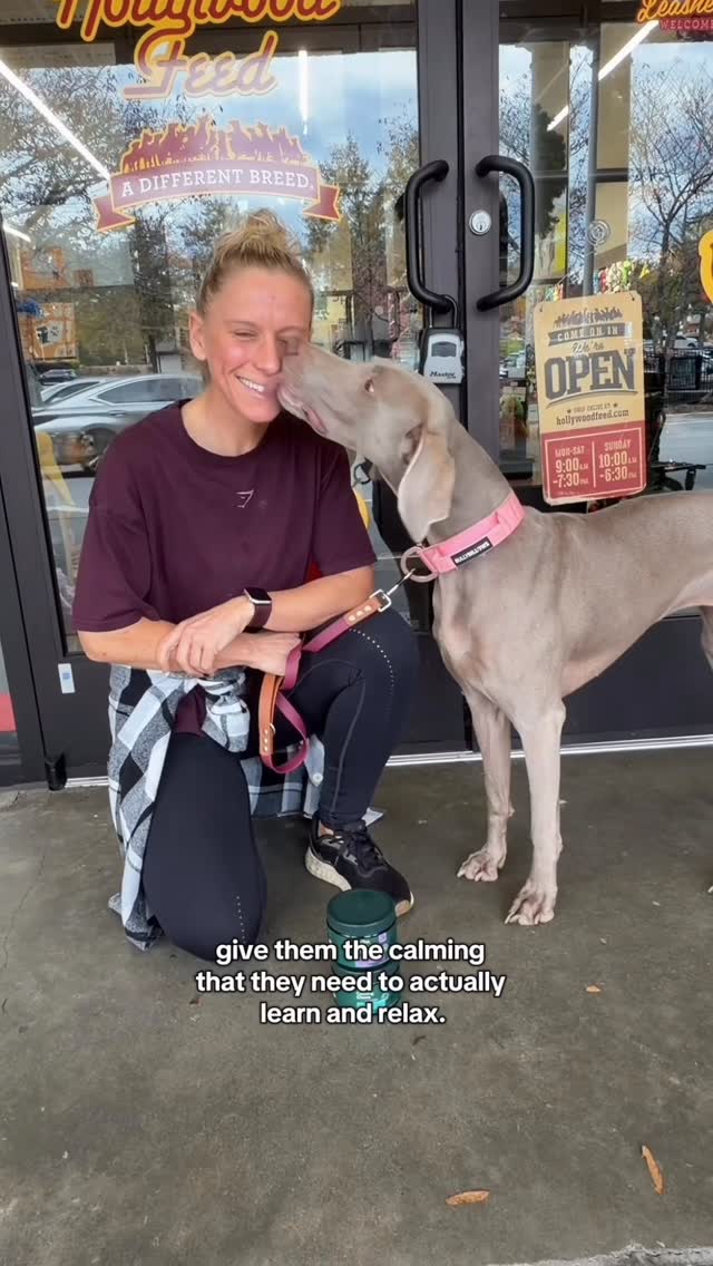 Instagram post by @weim_crime.sisters for Wuffes. Caption reads: [...] so bad. I was excited to hear that @wuffes....