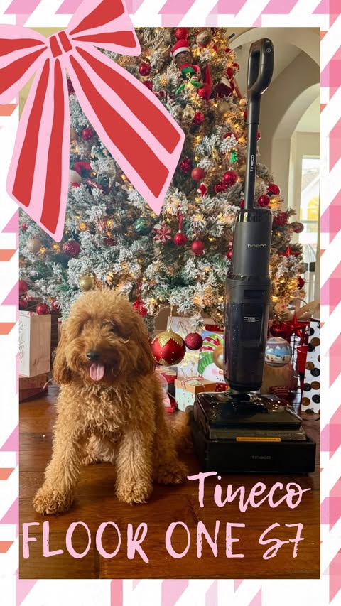 Instagram post by @gulsahguneribasaran for Tineco. Caption reads: ✨ One step. Total clean. ✨

Meet the Tineco Floor....