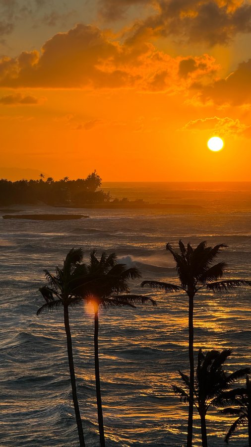 Instagram post by @avajules_ for Sun Bum. Caption reads: your reminder to use your @sunbum sunscreen 💛....