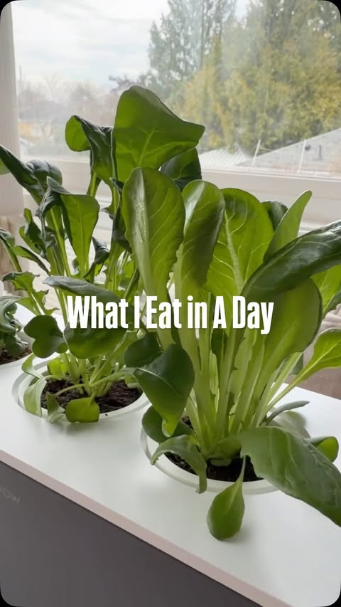 Instagram post by @maegan_eats for Click and Grow. Caption reads: [...] herbs, garlic bread, and a salad! My....