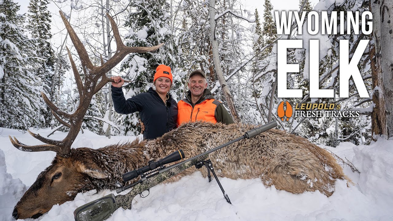 YouTube post by @Fresh_Tracks for Ollin. Caption reads: BIG BULL DOWN | Late-Season Elk Hunt with My Niece.