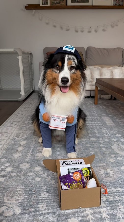 Instagram post by @orca.the.aussie for Farm to Pet. Caption reads: [...] to our friends over at @fi.dogs and....