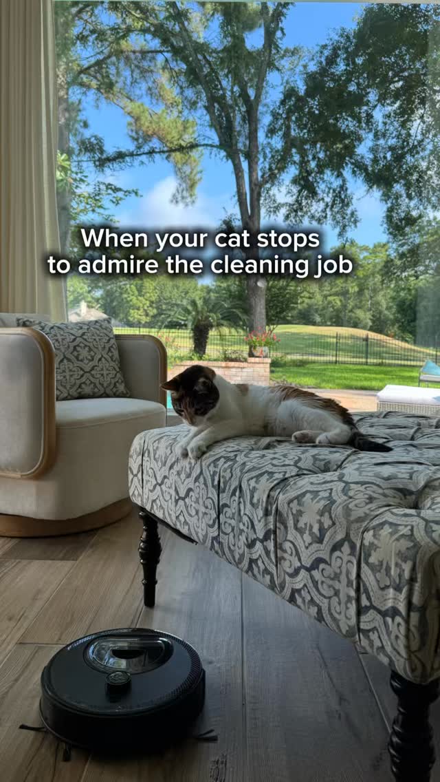 Instagram post by @sanazaydin for Lefant. Caption reads: [...] ✨
Link in bio if you wanna check it....