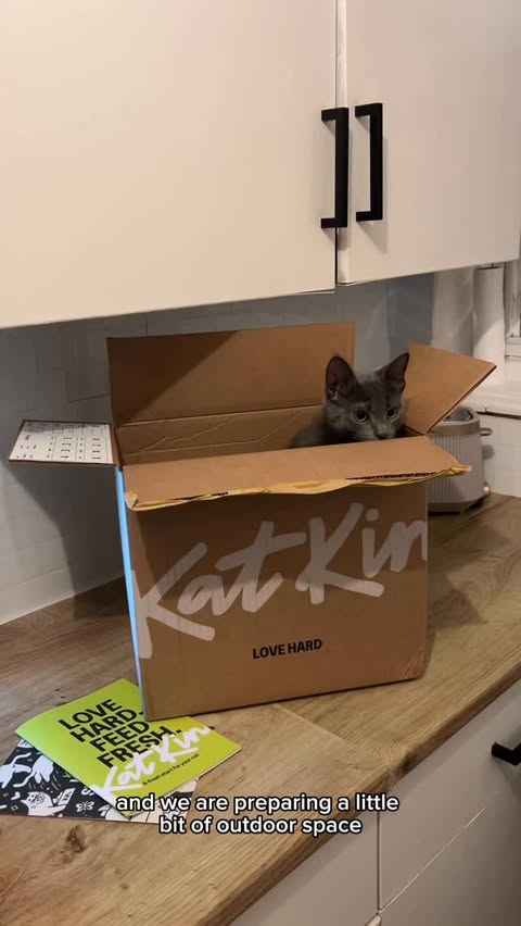 Instagram post by @levidupres for KatKin. Caption reads: [...] what they do and don’t like ad (luckily....