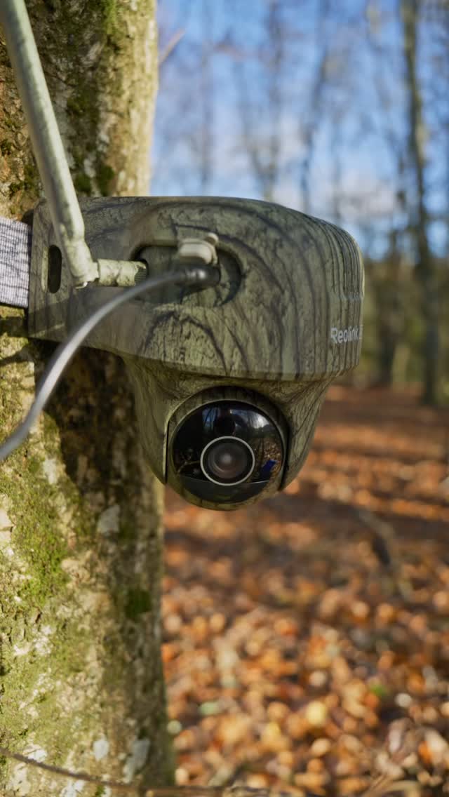 Instagram post by @eagle_eyed_grl for Reolink. Caption reads: The Woodland Camera That Sees What We Can’t....