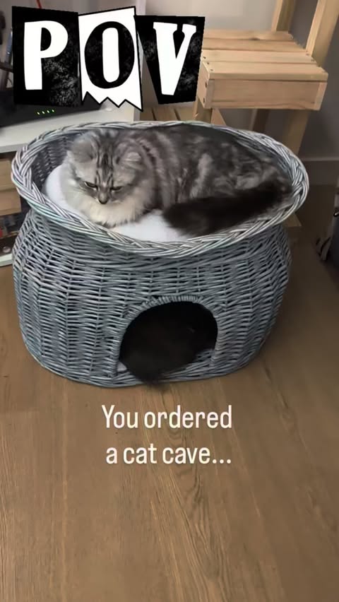 Instagram post by an influencer for PawHut UK. Caption reads: I requested somewhere cosy. The humans at....