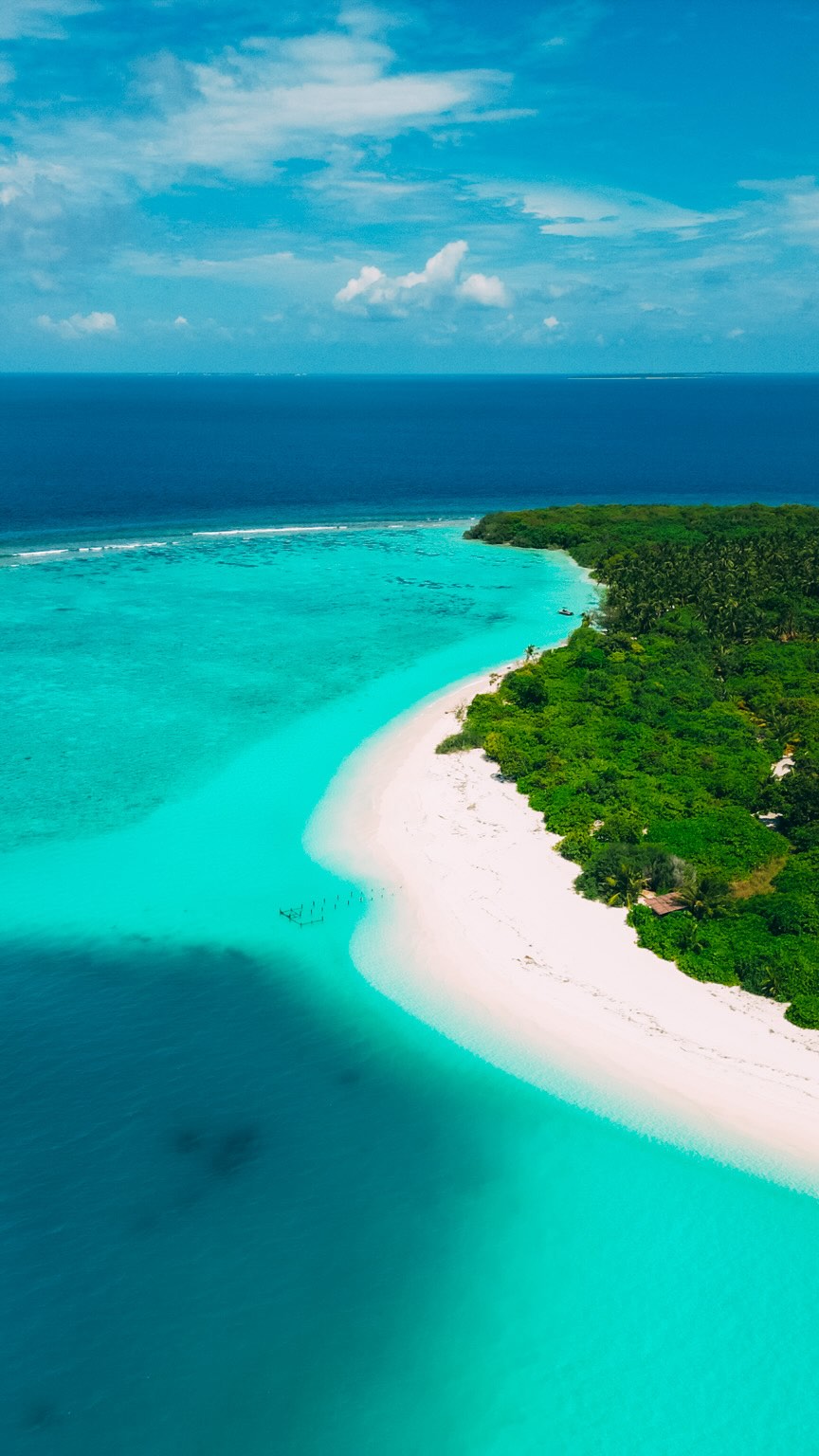 Instagram post by @forrestkeifer for PITAKA. Caption reads: Looking for a new phone case? 
@ipitaka.global....