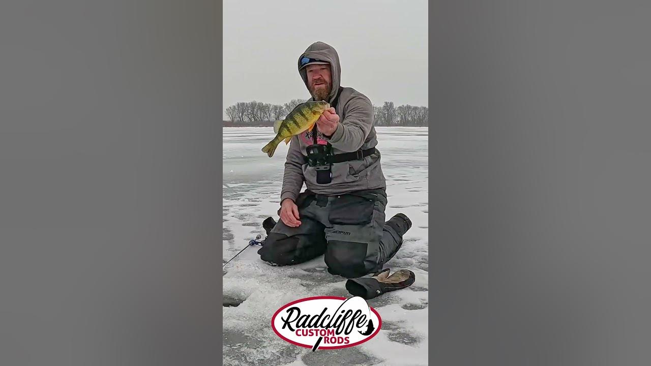 YouTube post by @AnglerX for Piscifun. Caption reads: Mississippi River Yellow Perch.