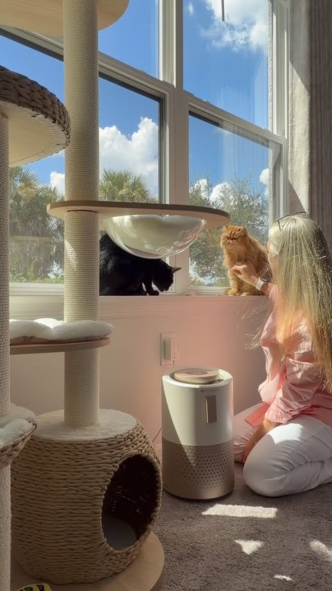 Instagram post by @melisadevo for PetSnowy. Caption reads: One month with the PetSnowy Air Purifier 🐾✨ With....