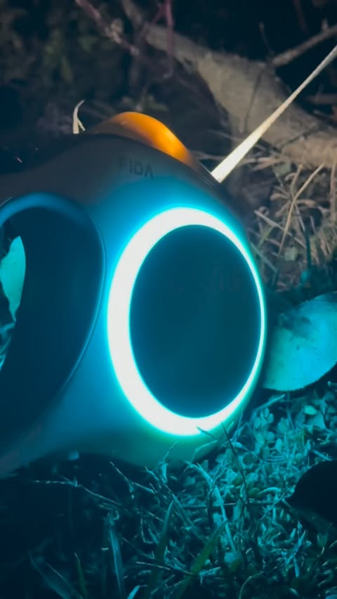 Instagram post by @ophelias_golden__adventures for FidaPet. Caption reads: [...] daily walks are in the dark, and the....