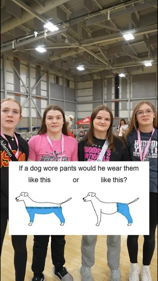 Instagram post by @usawrestling for Marines. Caption reads: What would you say? 🐶 Your answers were great!....