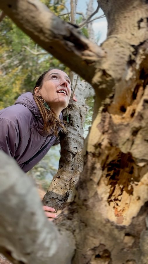 Instagram post by @adventurefamdam for ALPAKA. Caption reads: 100% recycled, endlessly versatile, and built to....