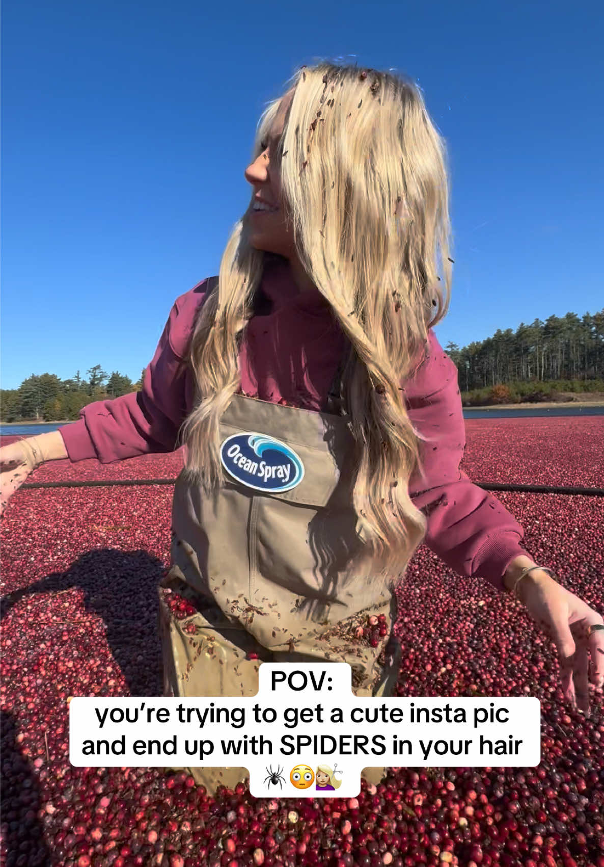 TikTok post by @not.eg for Ocean Spray. Caption reads: BOG SPIDERS ARE REAL!!🕷️😳 #bog #spider #spiders....