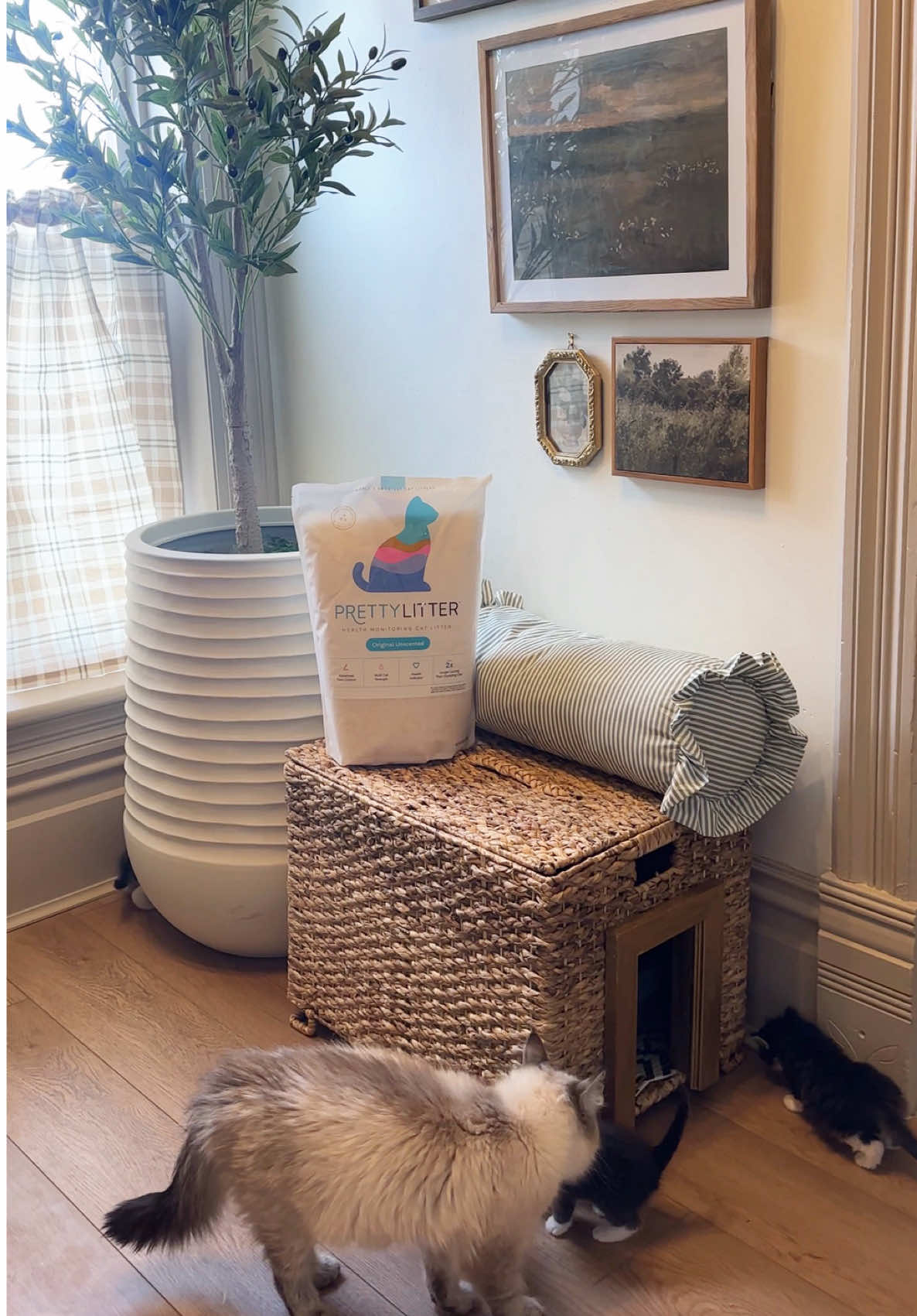 TikTok post by @builds_by_kristen for PrettyLitter. Caption reads: [...] looking tidy. 🐾 @PrettyLitter has been such....