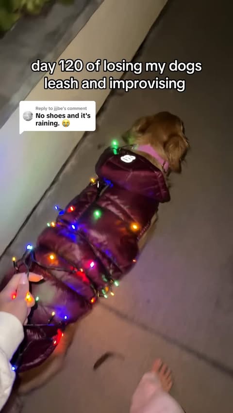 Instagram post by @doggycharly for Aritzia. Caption reads: do you like charlys new super puff?....