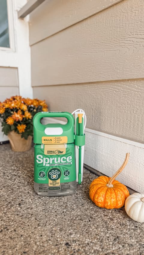 Instagram post by @haleymartinoxo for Spruce. Caption reads: #SprucePartner Focus on Fall with @justspruceit....