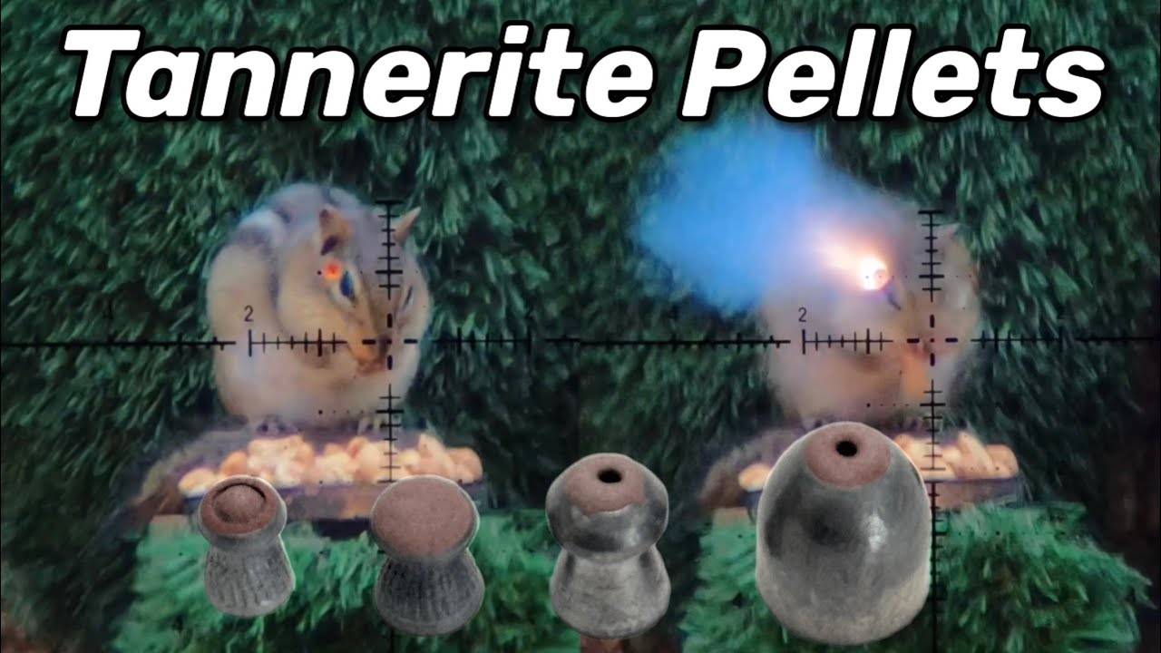 YouTube post by @EDgunLeshiy for OLIGHT. Caption reads: What Happens When You Put Tannerite into a Pellet.....