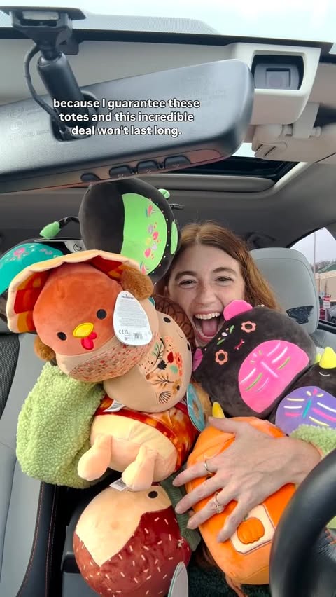 Instagram post by @danisquishie for Five Below. Caption reads: On 11/28 ONLY @fivebelow will run a Black Friday....