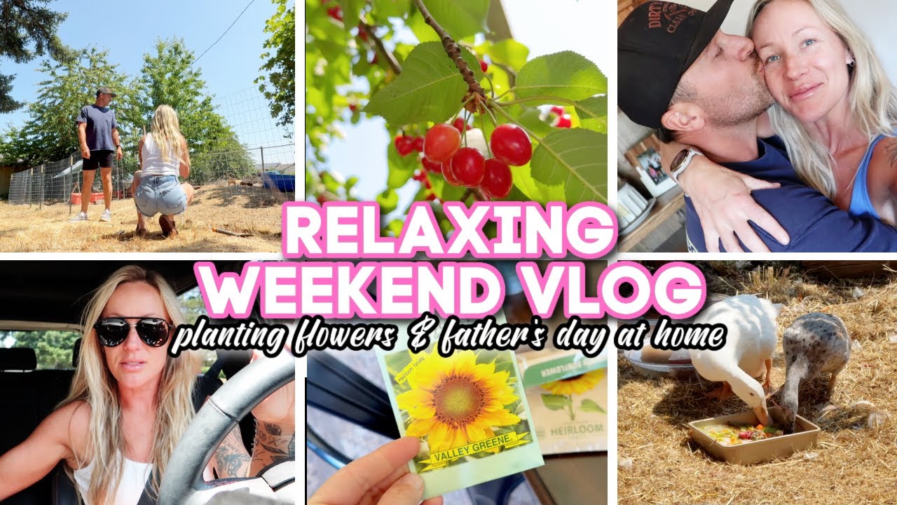 YouTube post by @KristenKasper for Dax Eyewear. Caption reads: A RELAXING WEEKEND VLOG // planting sunflowers &....