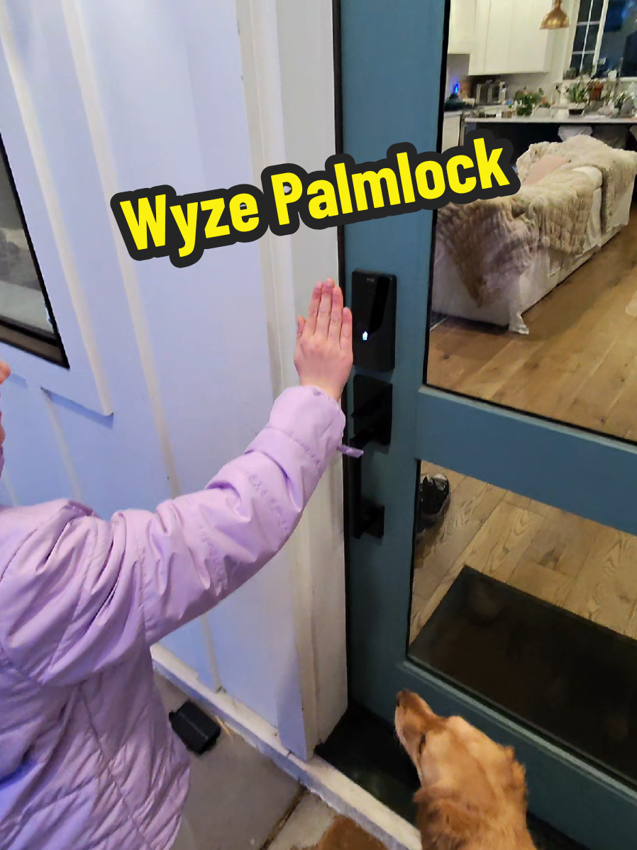 TikTok post by @theghousefam for Wyze. Caption reads: [...] is for the whole family! #wyze #wyzepalmlock....