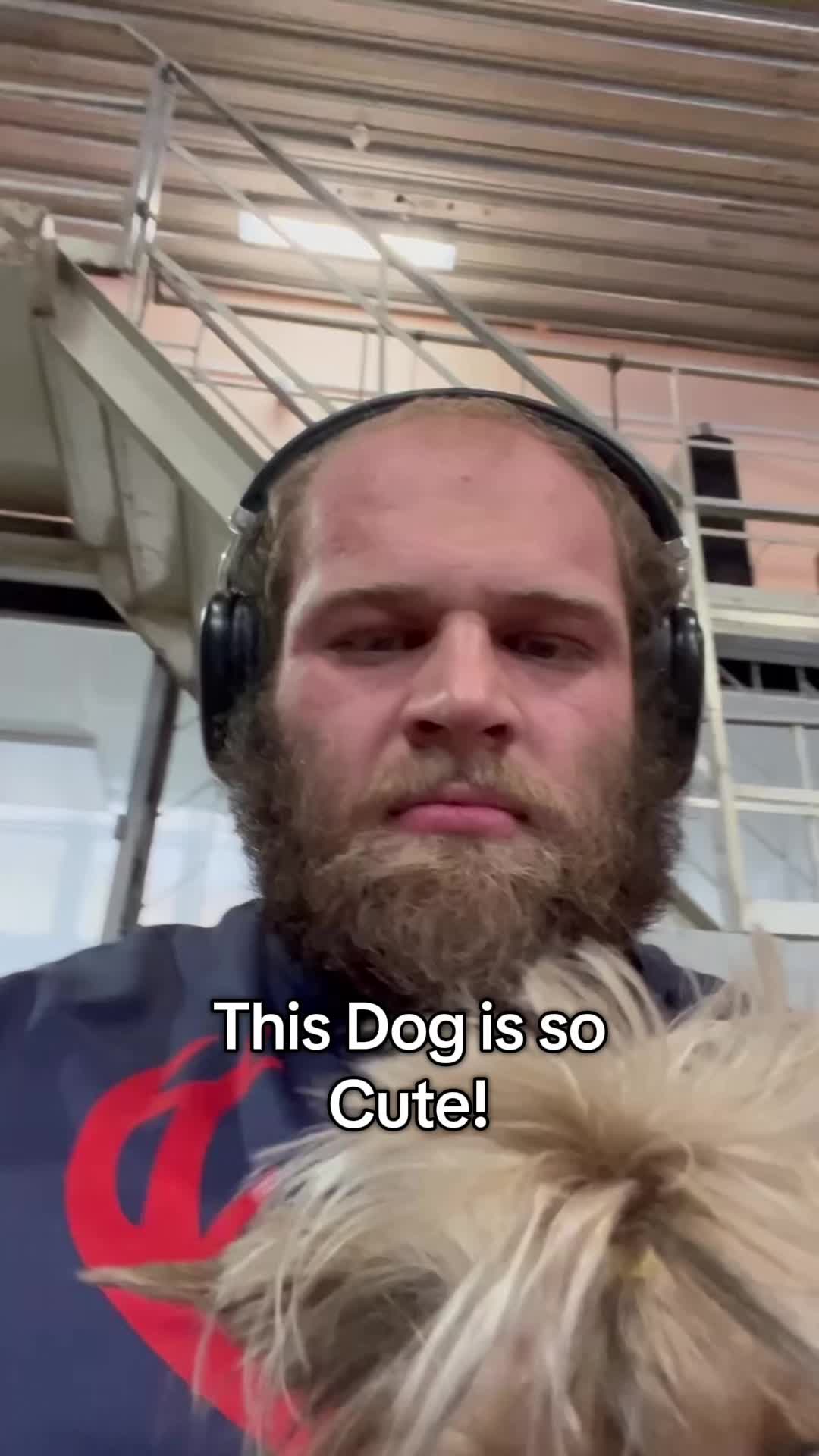 TikTok post by @smaev_official for Bucked Up. Caption reads: Gym owner’s dog. - Code: SMAEV1 for all @BuckedUp....