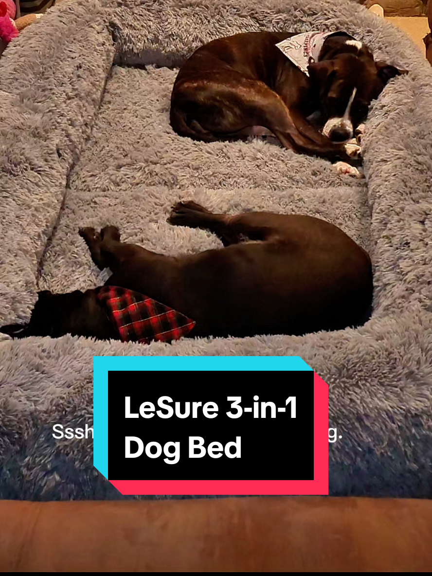 TikTok post by @zoomieswithwinnieandjade for Lesure Pet. Caption reads: Dog Bed 🐾 Products I recommend! @Lesure Pet....