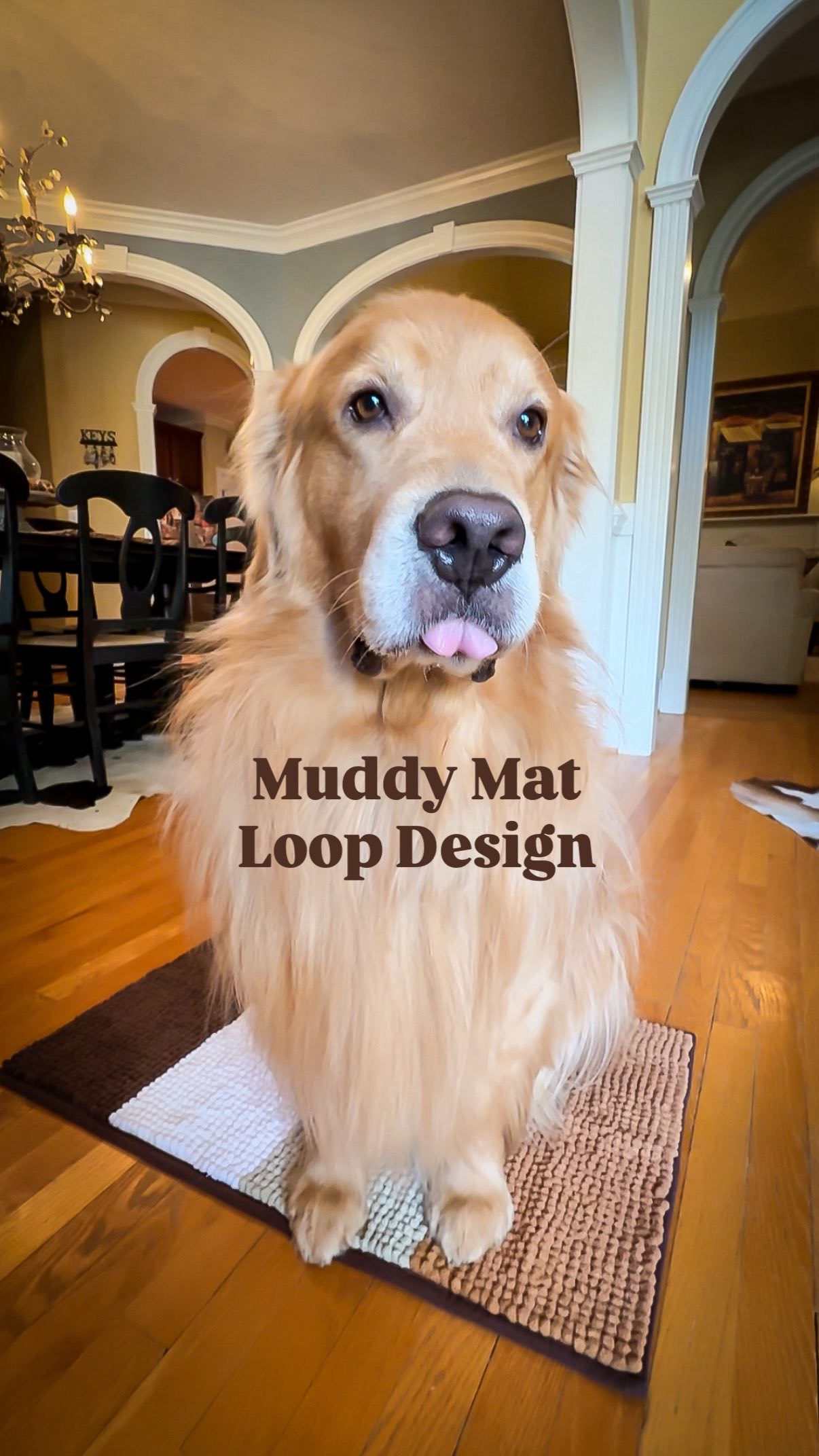 Instagram post by @agoldennamedgibby for Muddy Mat. Caption reads: [...] I really like mud.
—da Gibbs😉
*
*
Muddy....