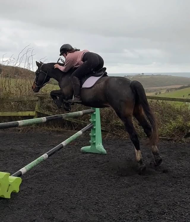 Instagram post by @canterring for Shires Equestrian. Caption reads: A random selection of photos because I’m too lazy....