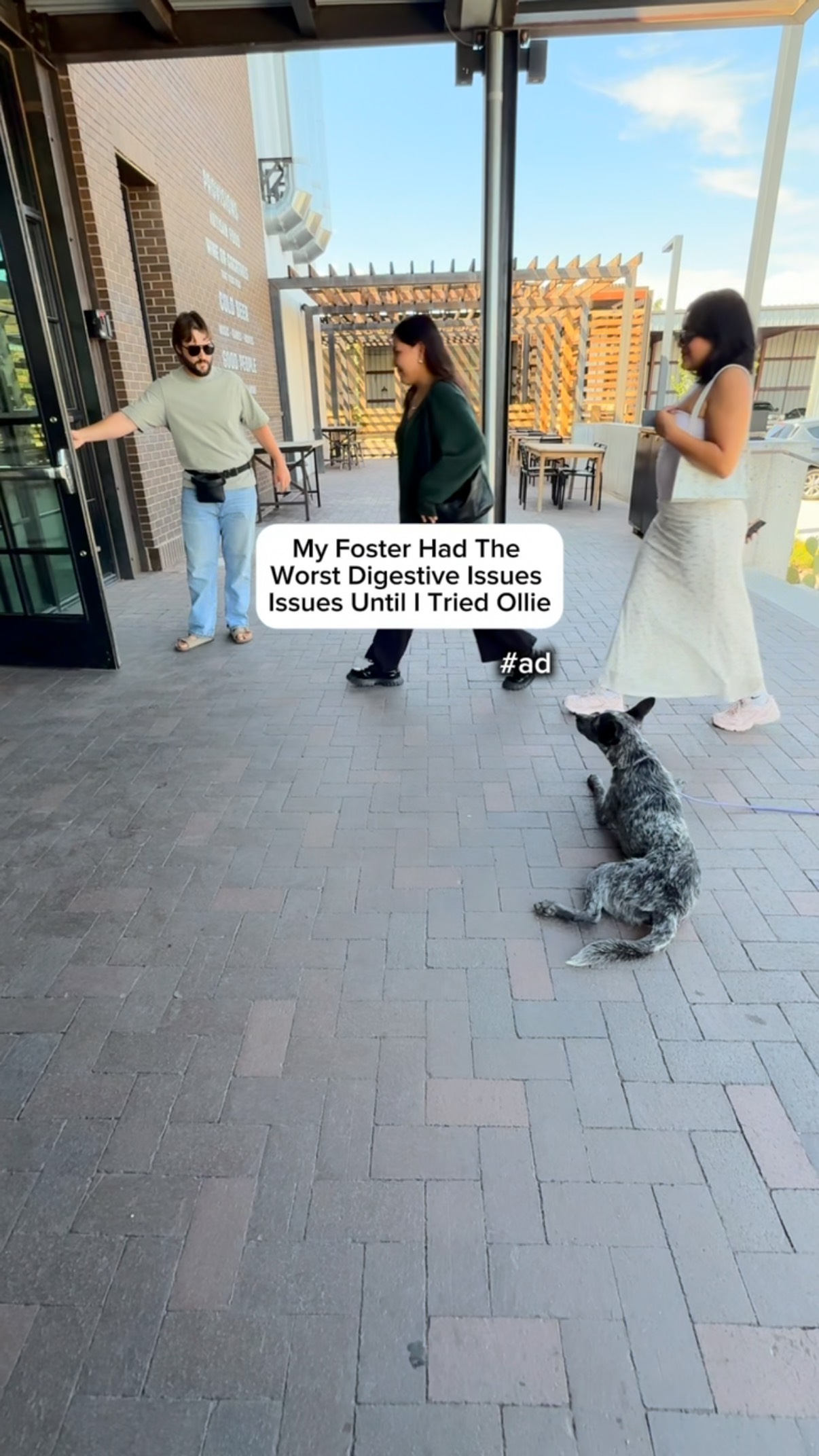 Instagram post by @forthedogs for Ollie. Caption reads: #ad When I first brought Pecos (formally Mr.....