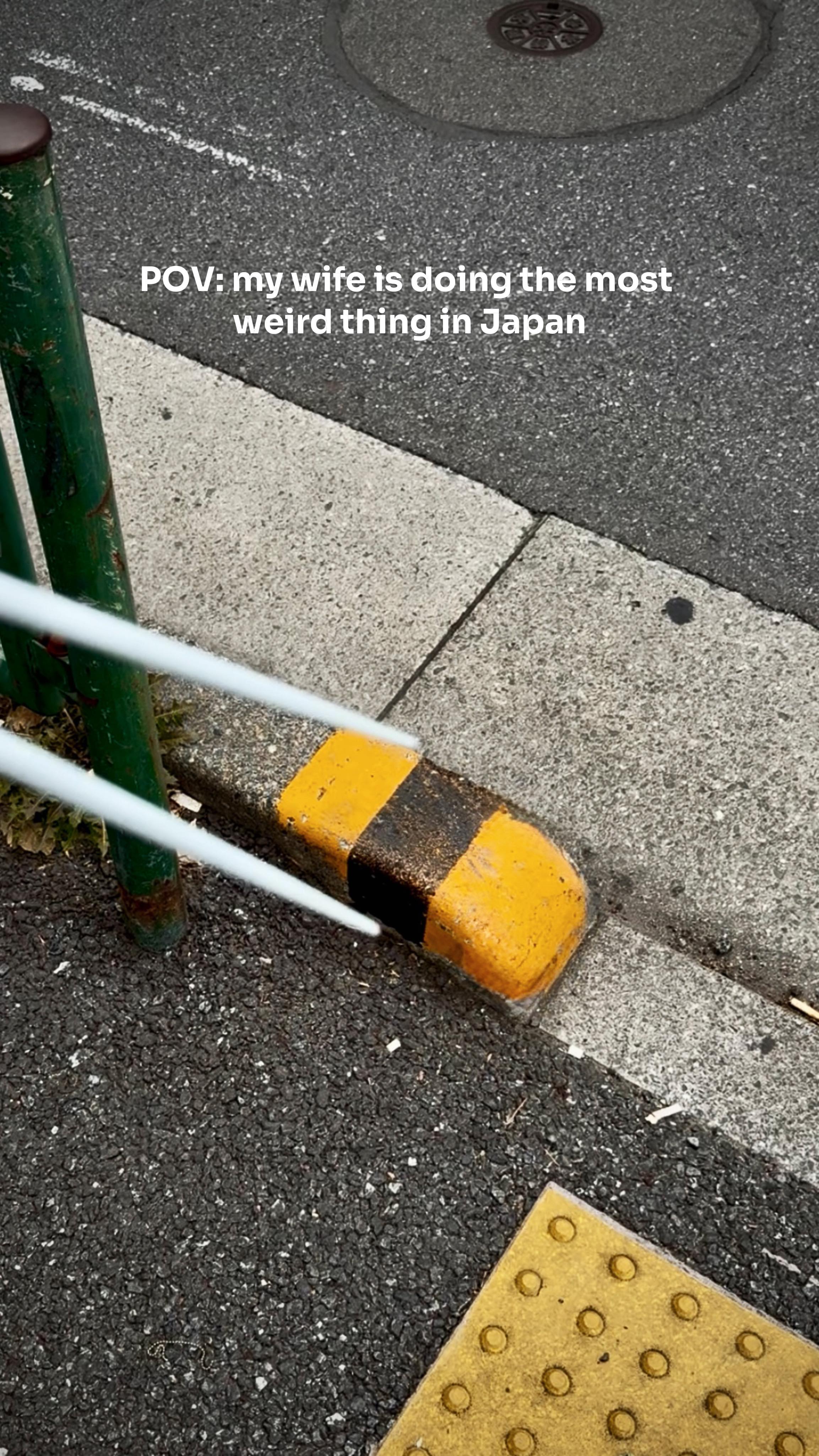 Instagram post by @wisteria_voyage for Tokyo Tokyo. Caption reads: POV: you crave sushi 🍣 in Japan so bad 🇯🇵my....