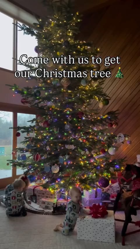 Instagram post by @audreyroloff for Perfect Bar. Caption reads: We might be taking a break from the 20ft Clark....